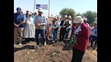 "البطاطا الحلوة تفتح أبواب التصدير".. الفاو تدعم مزارعات المنيا بمشروعات جديدة (صور)