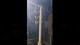 سقوط أمطار بالبحيرة (2)