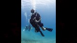 عروس البحر (5)_7