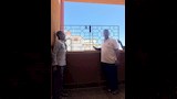 سور يهدد التلاميذ (1)