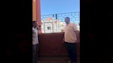 سور يهدد التلاميذ (4)