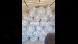 ضبط مصنع مياه  (1)_1