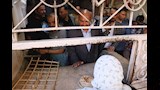 محافظ السويس يسأل المواطنين عن جودة الخبز _4