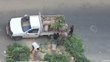 فيديو قطع أشجار ترام الرمل (5)