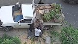 عدد من الأشخاص أثناء قيامهم بقطع شجرة ضخمة مجاورة لمسار الترام (5)