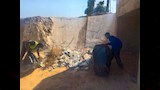 تطهير البرابيخ _9