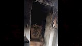 آثار حريق شقة بمساكن الحرية في بورسعيد٤