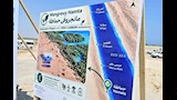 وزير الري يوجه بدراسة التوسع في زراعة المانجروف لحماية شواطئ البحر الأحمر (4)
