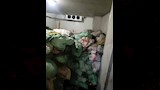 حملات التفتيش