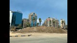 تطوير شارع جامعة الدول العربية وقطع الأشجار (1)