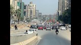 تطوير شارع جامعة الدول العربية وقطع الأشجار (2)