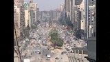 تطوير شارع جامعة الدول العربية وقطع الأشجار (6)