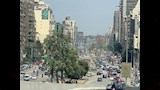 تطوير شارع جامعة الدول العربية وقطع الأشجار (12)