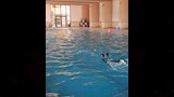 تفاصيل أول حمام سباحة مغطى بالمنيا  (7)