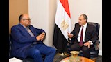 وزير الخارجية يبحث مع نظيره التنزاني تعزيز العلاقات والتعاون في ملف النيل (4)