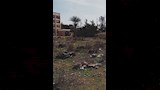 شكاوى من أهالي إدفينا من زراعة ملعب بالأرز (3)