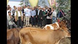 جولة وزير الزراعة ومحافظ بني سويف بالقرية المنتجة (1)