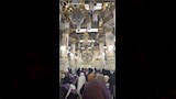 يارا السكري