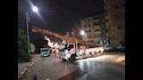 ضبط سيارة محملة بأخشاب أشجار كافور (4)