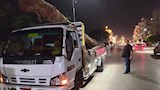 التفاصيل الكاملة لضبط سيارة محملة بأخشاب أشجار كافور بالدقهلية- صور