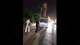 ضبط سيارة محملة بأخشاب أشجار كافور (2)
