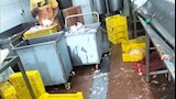 ضبط وإعدام 2.8 طن من الأغذية والمشروبات في حملة صحية بطور سيناء (صور)