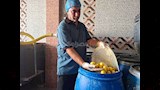 تصنيع المخلل (3)