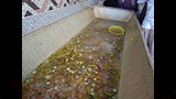 تصنيع المخلل (5)