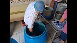 تصنيع المخلل (13)