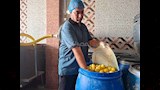 تصنيع المخلل (14)