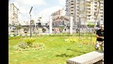 1001147267استغلال المساحات الخالية للتشجير