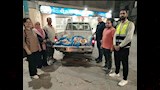 ضبط بقرة نافقة و100 كيلو دجاج فاسد (3)