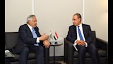 وزير الخارجية: تفعيل مجلس الأعمال المصري الباكستاني يدعم زيادة الاستثمارات في مصر