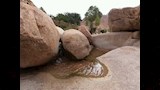 طبيعة المنطقة 