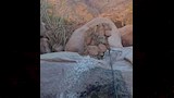 منطقة التلعة 
