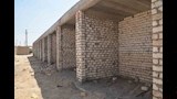 محافظ أسيوط يتابع إنشاء مركز متكامل لإيواء الكلاب الضالة (4)