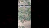 الأشجار كانت مصدر كبير للظل على المارة