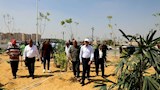 لتنفيذ مبادرة تخضير القاهرة.. المحافظ يتابع أعمال التشجير بمحوري هيكل والحضارات