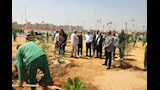 مبادرة تخضير القاهرة
