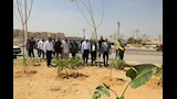 مبادرة تخضير القاهرة