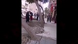 قطع أشجار بعين شمس (4)