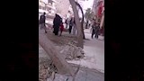 قطع أشجار بعين شمس (3)