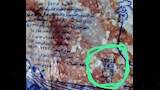 ضبط طن أغذية فاسدة في حملة مكبرة (3)