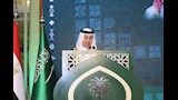 اليوم الوطني (14)