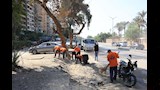 أعمال النظافة (8)
