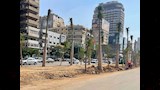 صور ترصد شارع جامعة الدول العربية بعد بدء التشجير (3)