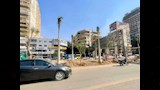 صور ترصد شارع جامعة الدول العربية بعد بدء التشجير (1)