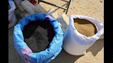 حبوب ومنتجات زراعية من مفيض بحيرة باريس_5