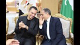 حزب مستقبل وطن (2)