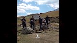 صخرة محمد صلاح